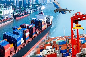 Commercial Shipment To Germany From Delhi