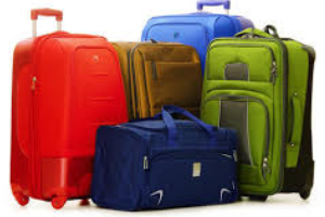 Excess  Baggages To Niger From Delhi